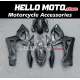 Suzuki GSX-R 1000 2005-2006 Fairing P/N 2K51
