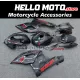 Suzuki GSX-R 1000 2005-2006 Fairing P/N 2K42