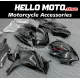 Suzuki GSX-R 1000 2007-2008 Fairing P/N 2L11