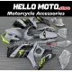 Suzuki GSX-R 1000 2007-2008 Fairing P/N 2L12 Suzuki GSX-R 1000 2007-2008 Fairing P/N 2L12