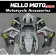 Suzuki GSX-R 1000 2007-2008 Fairing P/N 2L12 Suzuki GSX-R 1000 2007-2008 Fairing P/N 2L12