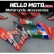 Suzuki GSX-R 1000 2007-2008 Fairing P/N 2L29