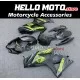 Suzuki GSX-R 1000 2007-2008 Fairing P/N 2L34