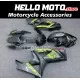 Suzuki GSX-R 1000 2007-2008 Fairing P/N 2L34