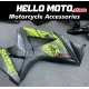 Suzuki GSX-R 1000 2007-2008 Fairing P/N 2L34