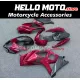 Suzuki GSX-R 1000 2007-2008 Fairing P/N 2L45