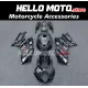 Suzuki GSX-R 1000 2007-2008 Fairing P/N 2L46