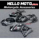 Suzuki GSX-R 1000 2007-2008 Fairing P/N 2L46