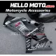 Suzuki GSX-R 1000 2007-2008 Fairing P/N 2L46