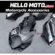 Suzuki GSX-R 1000 2007-2008 Fairing P/N 2L46