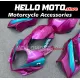 Suzuki GSX-R 1000 2007-2008 Fairing P/N 2L48 Suzuki GSX-R 1000 2007-2008 Fairing P/N 2L48