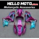 Suzuki GSX-R 1000 2007-2008 Fairing P/N 2L48 Suzuki GSX-R 1000 2007-2008 Fairing P/N 2L48