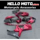 Suzuki GSX-R 1000 2007-2008 Fairing P/N 2L45