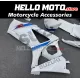 Suzuki GSX-R 1000 2007-2008 Fairing P/N 2L42 Suzuki GSX-R 1000 2007-2008 Fairing P/N 2L42