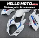 Suzuki GSX-R 1000 2007-2008 Fairing P/N 2L42 Suzuki GSX-R 1000 2007-2008 Fairing P/N 2L42