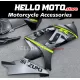 Suzuki GSX-R 1000 2007-2008 Fairing P/N 2L50 Suzuki GSX-R 1000 2007-2008 Fairing P/N 2L50