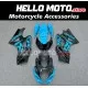 Suzuki GSX-R 1000 2007-2008 Fairing P/N 2L28 Suzuki GSX-R 1000 2007-2008 Fairing P/N 2L28