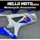 Suzuki GSX-R 1000 2007-2008 Fairing P/N 2L43