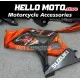 Suzuki GSX-R 1000 2007-2008 Fairing P/N 2L31 Suzuki GSX-R 1000 2007-2008 Fairing P/N 2L31