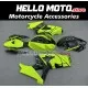 Suzuki GSX-R 1000 2007-2008 Fairing P/N 2L36