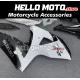 Suzuki GSX-R 1000 2009-2016 Fairing P/N 2M18 Suzuki GSX-R 1000 2009-2016 Fairing P/N 2M18