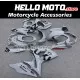 Suzuki GSX-R 1000 2009-2016 Fairing P/N 2M6