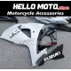 Suzuki GSX-R 1000 2009-2016 Fairing P/N 2M29