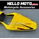 Suzuki GSX-R 600 2001-2003 / GSX-R 750 2000-2003 Fairing P/N 2B20