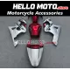 Suzuki GSX-R 600 2001-2003 / GSX-R 750 2000-2003 Fairing P/N 2B22 Suzuki GSX-R 600 2001-2003 / GSX-R 750 2000-2003 Fairing P/N 2B22