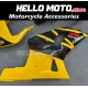 Suzuki GSX-R 600 2001-2003 / GSX-R 750 2000-2003 Fairing P/N 2B3