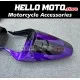 Suzuki GSX-R 600 2001-2003 / GSX-R 750 2000-2003 Fairing P/N 2B17