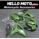 Suzuki GSX-R 600/750 2006-2007 Fairing P/N 2D8 Suzuki GSX-R 600/750 2006-2007 Fairing P/N 2D8