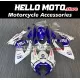 Suzuki GSX-R 600/750 2006-2007 Fairing P/N 2D10 Suzuki GSX-R 600/750 2006-2007 Fairing P/N 2D10
