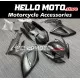 Suzuki GSX-R 600/750 2006-2007 Fairing P/N 2D17