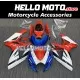 Suzuki GSX-R 600/750 2006-2007 Fairing P/N 2D19