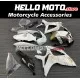 Suzuki GSX-R 600/750 2006-2007 Fairing P/N 2D30 Suzuki GSX-R 600/750 2006-2007 Fairing P/N 2D30