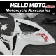 Suzuki GSX-R 600/750 2006-2007 Fairing P/N 2D31