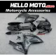 Suzuki GSX-R 600/750 2006-2007 Fairing P/N 2D26