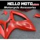 Suzuki GSX-R 600/750 2006-2007 Fairing P/N 2D89