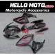 Suzuki GSX-R 600/750 2006-2007 Fairing P/N 2D109