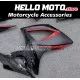 Suzuki GSX-R 600/750 2006-2007 Fairing P/N 2D109
