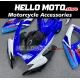 Suzuki GSX-R 600/750 2006-2007 Fairing P/N 2D107