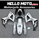 Suzuki GSX-R 600/750 2006-2007 Fairing P/N 2D111