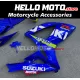 Suzuki GSX-R 600/750 2006-2007 Fairing P/N 2D84