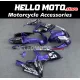 Suzuki GSX-R 600/750 2006-2007 Fairing P/N 2D118