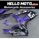 Suzuki GSX-R 600/750 2006-2007 Fairing P/N 2D118