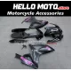 Suzuki GSX-R 600/750 2006-2007 Fairing P/N 2D119