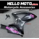 Suzuki GSX-R 600/750 2006-2007 Fairing P/N 2D119