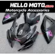 Suzuki GSX-R 600/750 2006-2007 Fairing P/N 2D119