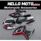 Suzuki GSX-R 600/750 2006-2007 Fairing P/N 2D120